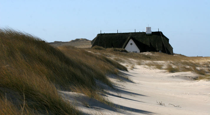 <h2>Familienurlaub an der Ostsee ab 202,- EUR / Woche</h2>