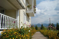 Ferienhaus Casa Andrei Rumänien - Bukowina - Moldau - Dealul Floreni