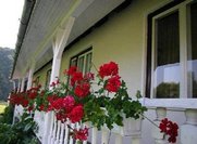 Ferienhaus Szovata Pension B&B 3 person Rumänien - Siebenbürgen - Siebenbürgen - Sovata