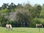 Ferienhaus Ellegoorsestraat Niederlande - Gelderland - Doetinchem
