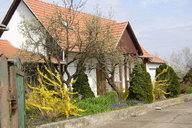 Ferienhaus Tisza Ungarn - Puszta